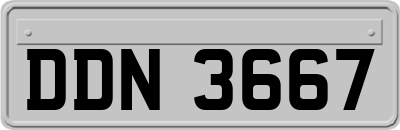 DDN3667