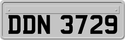 DDN3729