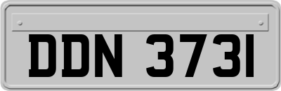 DDN3731