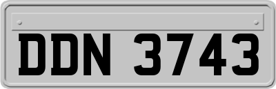 DDN3743