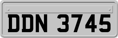 DDN3745