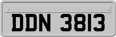 DDN3813