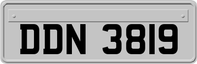 DDN3819