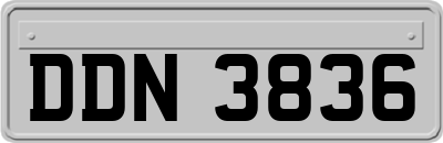 DDN3836