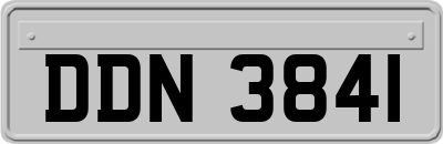 DDN3841