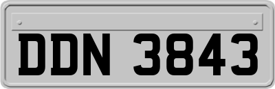 DDN3843
