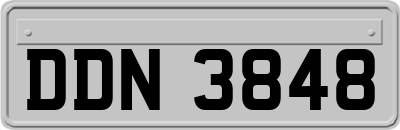 DDN3848