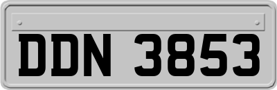 DDN3853