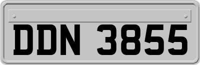 DDN3855