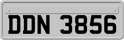 DDN3856