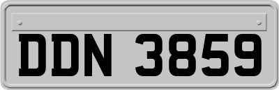 DDN3859