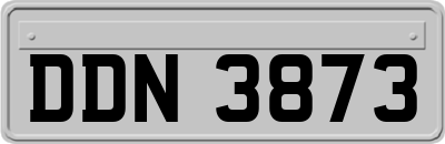 DDN3873