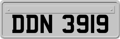 DDN3919