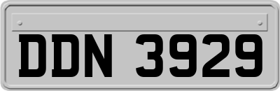 DDN3929