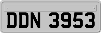 DDN3953