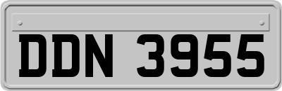 DDN3955