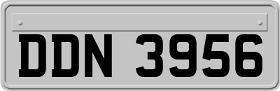 DDN3956