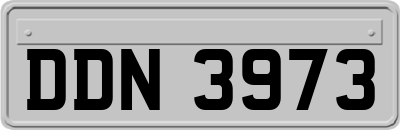 DDN3973