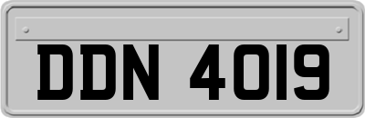 DDN4019