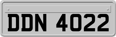 DDN4022