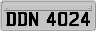 DDN4024