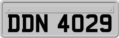 DDN4029