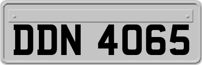 DDN4065