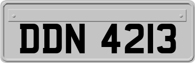 DDN4213