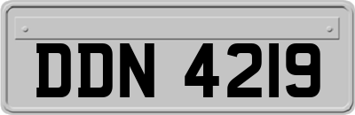 DDN4219