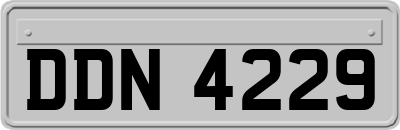 DDN4229