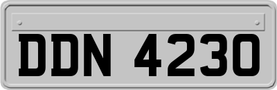 DDN4230