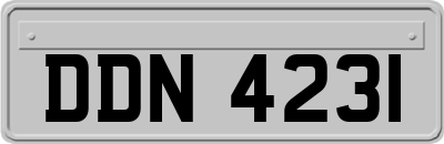 DDN4231