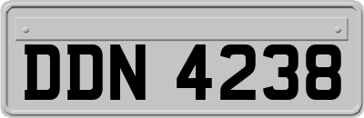 DDN4238