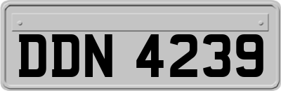 DDN4239