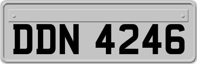 DDN4246