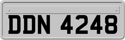 DDN4248