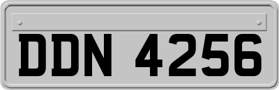 DDN4256