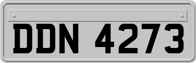 DDN4273