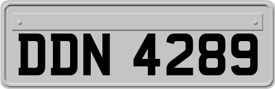 DDN4289