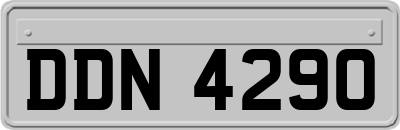 DDN4290