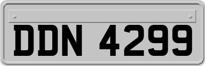 DDN4299