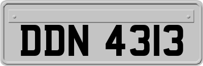 DDN4313