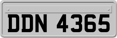 DDN4365