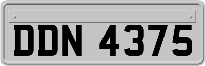 DDN4375