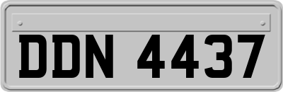 DDN4437