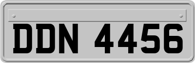 DDN4456