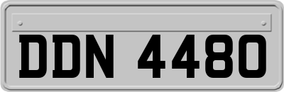 DDN4480