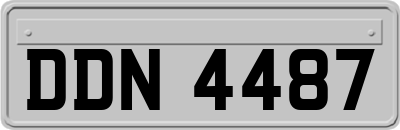 DDN4487