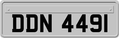 DDN4491