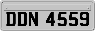 DDN4559